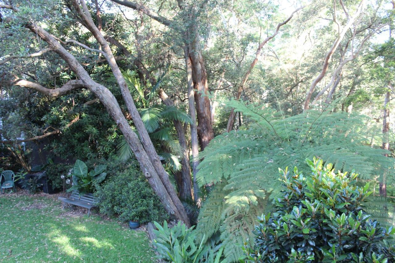 Bushland Setting Close To Sydney Cbd- Stand Alone Apartment Εξωτερικό φωτογραφία